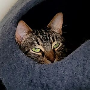 Meet your Posher, Jeff